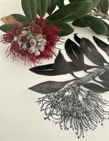 Drawing of a flowering plant on our property