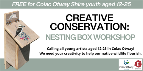Nesting-Box-Youth-Project-216-x-108-mm-2