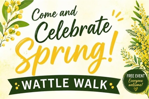 Web Image - Wattle Walk 2026.jpg